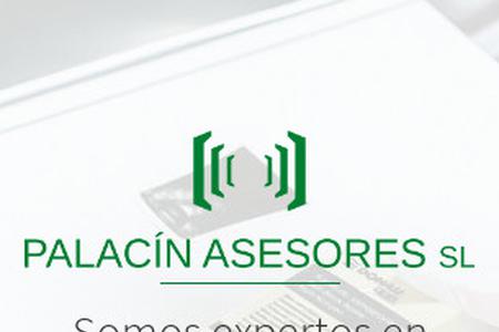 Palacín Asesores Palacín Asesores
